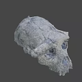 Detailed Textured Skull Model With Cracked Surface And Blue Spots