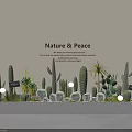 Natural Peaceful Potted Bonsai Plants with Cacti and Succulents for Modern Living Room Decor