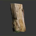Natural Wooden Arbor Stump With Brown Green Surface And Artistic Texture