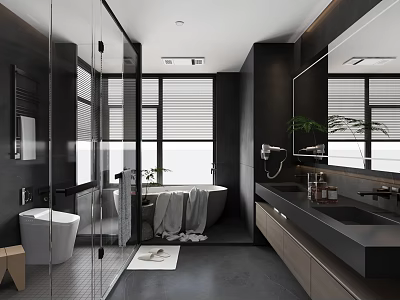 Modern Black Bathroom with Glass Shower Bathtub Large Mirror and Green Plant 3d model