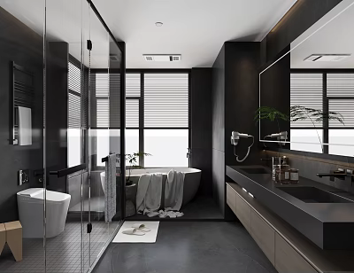 Modern Black Bathroom with Glass Shower Bathtub Large Mirror and Green Plant 3d model