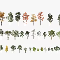 Collection of Various Arbor Trees with Different Leaf Colors Sizes and Shapes 3d model
