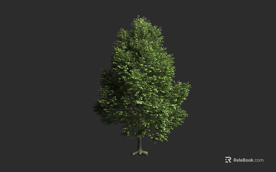 Lush Green Arbor With Dense Foliage And Strong Trunk On Dark Background 3d model 