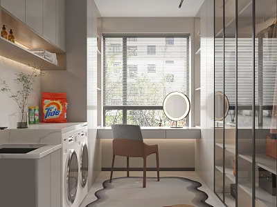 Walk In Closet With Laundry Area Natural Light Chair And Mirror 3d model