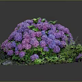 Vibrant Purple Hydrangea Bouquet With Lush Green Leaves And Stones