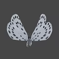 White Winged Black Spotted Butterfly Game Movie Character Design