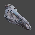 Detailed Dinosaur Skull Fossil With Anatomical Features And Prehistoric Structure