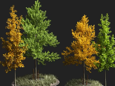 Green and Yellow Leaf Trees with Tree Trunks on Grass and Stones Against Black Background 3d model