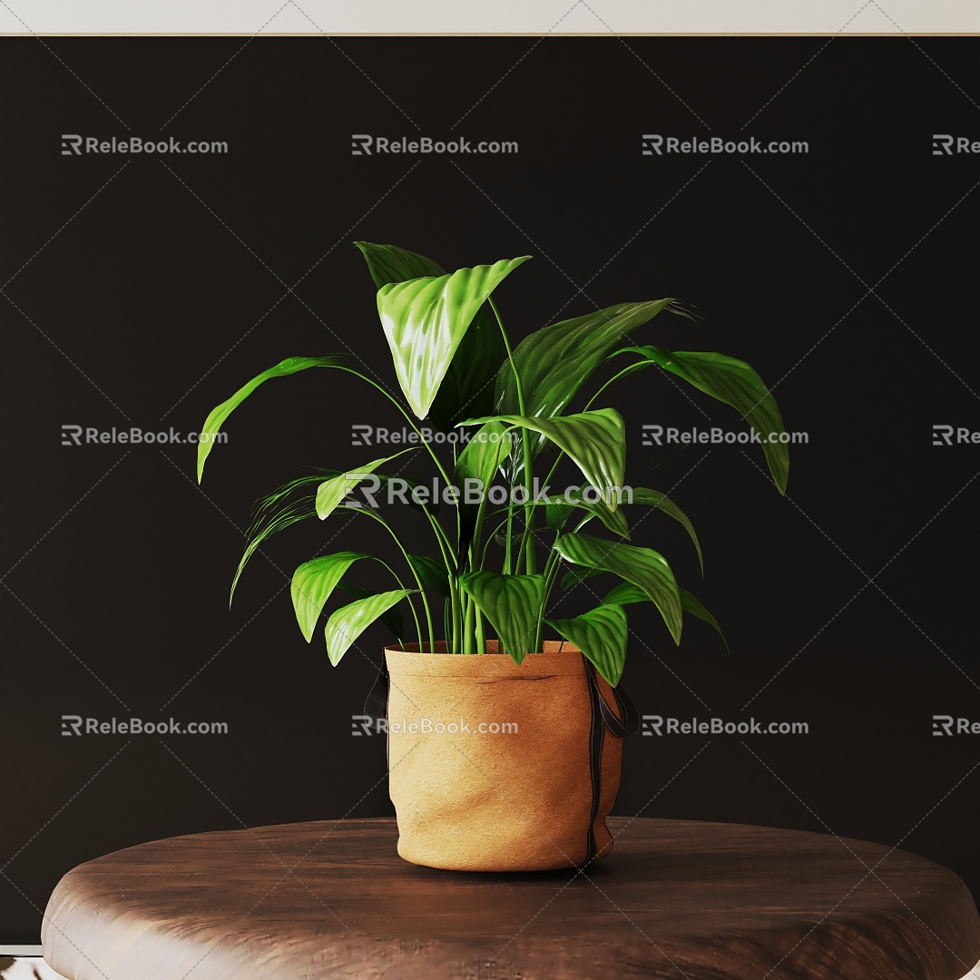 Modern Potted Plant 3d model