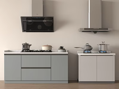 Elegant Modern Kitchen Interior With Cabinets Stovetops Range Hoods And Pots 3d model