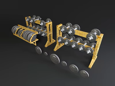 Organized Fitness Sports Equipment With Dumbbells Weight Plates And Storage Racks 3d model
