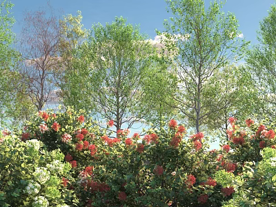 Lush Flowering Shrubs with Red Blooms Surrounded by Trees Under Blue Sky and White Clouds 3d model