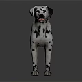 Dalmatian Dog Standing Gracefully With Black Spots On White Fur Against Dark Background