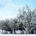 modern banyan tree 3d model