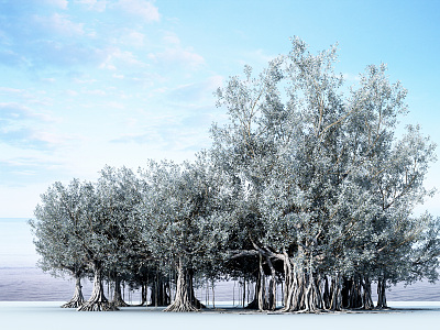 modern banyan tree 3d model