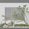 Courtyard Garden Design With Tree Ferns Stones White Spherical Decorations Grid Background And Gray Wall