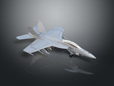 Modern Fighter Next Generation Aircraft model