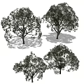 Four Arbor Silhouettes With Different Shapes And Black White Artistic Design
