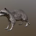 Realistic Raccoon With Grey Fur And Ringed Tail In Natural Pose