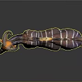 Nyala Antelope With Purple Body White Stripes Orange Legs And Curved Horns
