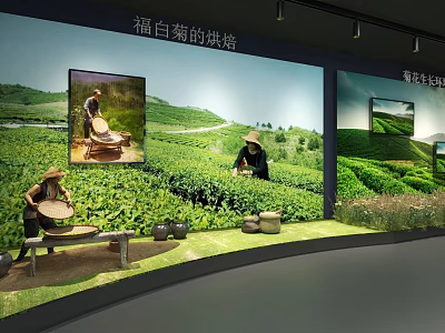 Cultural Center Displaying Traditional Fu White Chrysanthemum Baking And Tea Garden Scenery 3d model