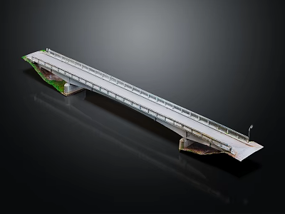 Long Bridge 3D Model Design With Railings And Structural Details 3d model