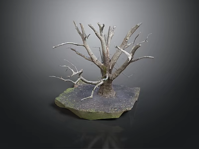 Decorative Dry Tree With Detailed Twisted Branches And Mossy Stone Base 3d model