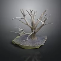 Decorative Dry Tree With Detailed Twisted Branches And Mossy Stone Base
