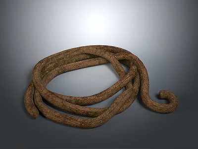 Brown Braided Rope Coiled On Gray Background With Textured Surface 3d model