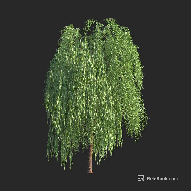 Weeping Willow Tree With Lush Green Drooping Branches And Vibrant Leaves 3d model 