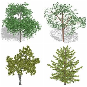 Modern Tree Flowers Green Plant Forest Outdoor 3d model