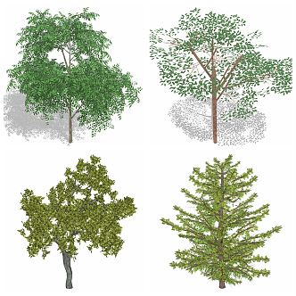 Modern Tree Flowers Green Plant Forest Outdoor 3d model