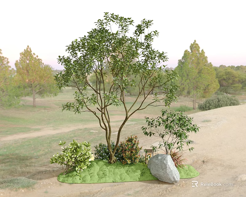 Outdoor Natural Landscape With Main Tree Small Shrubs Green Grass And Large Stone 3d model 