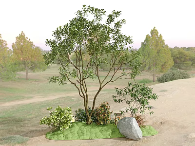 Outdoor Natural Landscape With Main Tree Small Shrubs Green Grass And Large Stone 3d model