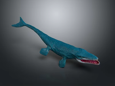 Realistic Detailed Blue Whale Model Featuring Open Mouth With Sharp Teeth 3d model