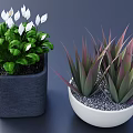 Potted Green Plants With White Flowers And Purple Leaves In Grey Square White Round Pots