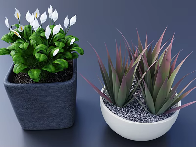 Potted Green Plants With White Flowers And Purple Leaves In Grey Square White Round Pots 3d model