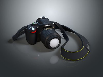 Nikon camera SLR camera card machine 3d model