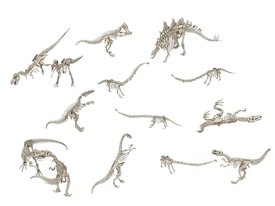 Dinosaur Fossils Dinosaur Relics Jurassic Fossil Museum Fossils 3d model