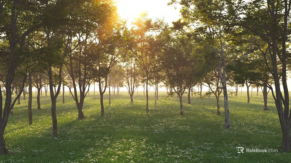 Sunlit Arbor Forest With Green Grassland And Sunlight Through Leaves 3d model 