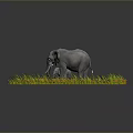 Gray Elephant Standing On Cracked Ground With Yellow Flowers In Yin Yang Shape