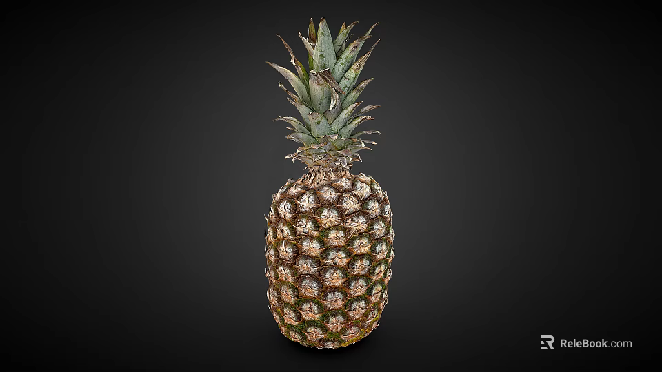 Fresh Ripe Pineapple with Green Leafy Crown and Golden Scaly Exterior 3d model 