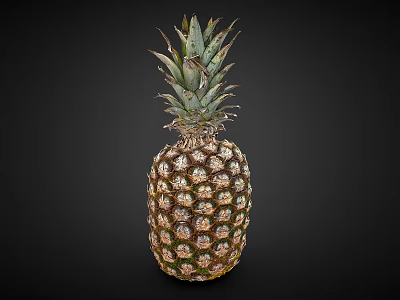 Fresh Ripe Pineapple with Green Leafy Crown and Golden Scaly Exterior 3d model