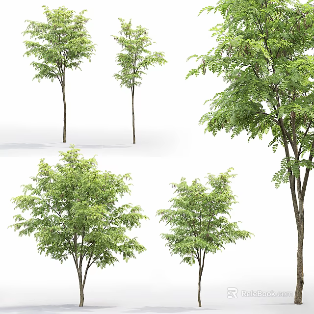 Diverse Arbor Trees Displaying Lush Green Leaves And Different Canopy Structures 3d model