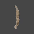 Natural Ancient Fossil Leaf Preserved in Stone with Detailed Vein Structure