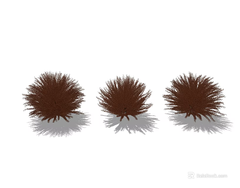 Three Brown Fluffy Shrubs in Garden Landscaping with Natural Shadow 3d model 