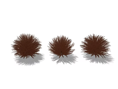 Three Brown Fluffy Shrubs in Garden Landscaping with Natural Shadow 3d model