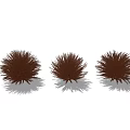 Three Brown Fluffy Shrubs in Garden Landscaping with Natural Shadow