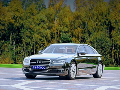 Black Audi Luxury Sedan Parked In Open Area With Wooded Background 3d model