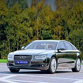 Black Audi Luxury Sedan Parked In Open Area With Wooded Background